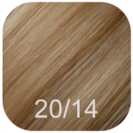 Light blonde/light brown